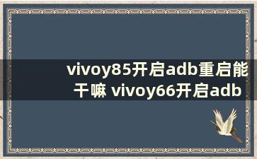 vivoy85开启adb重启能干嘛 vivoy66开启adb是什么意思